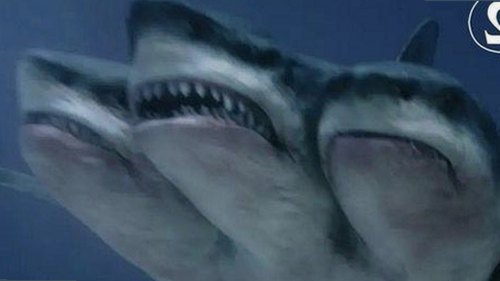 影帝零点看书：娱乐圈“吃瓜”背后的深度人生观察